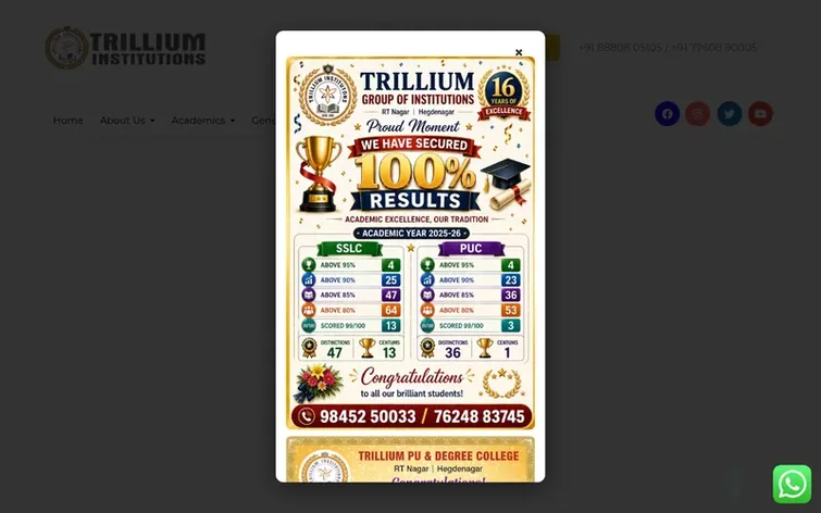 Screenshot of the Trillium Institutions homepage