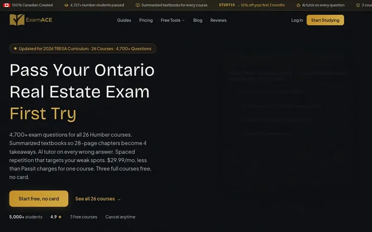 Screenshot of the ExamAce homepage